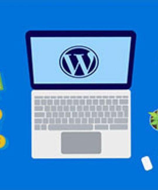 Comment gagner de l’argent avec WordPress au Cameroun en 2020?