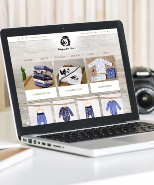 Formation e-commerce: Créer et Administrer un site de vente en ligne au Cameroun