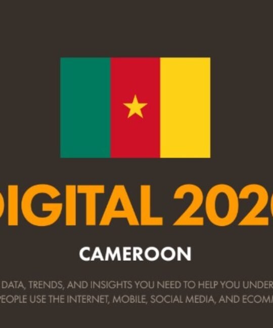 Rapport Digital 2020 pour le Cameroun, près de 8 millions d’internautes dont 50% sont sur les réseaux sociaux!