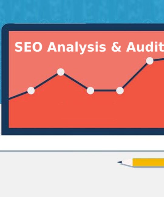 Les Meilleurs Experts SEO au Cameroun