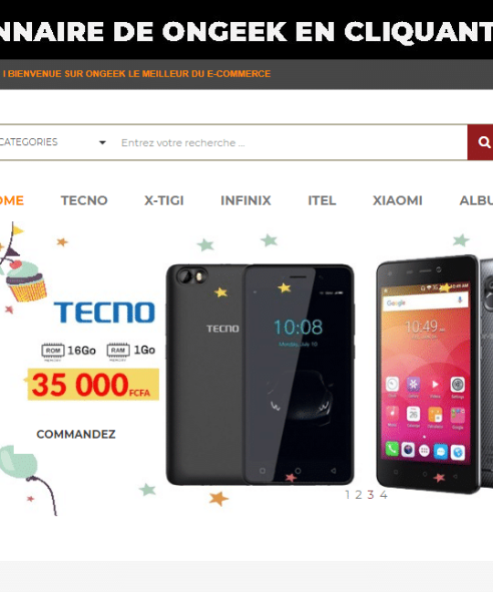 Agence de Développement de sites e-commerce