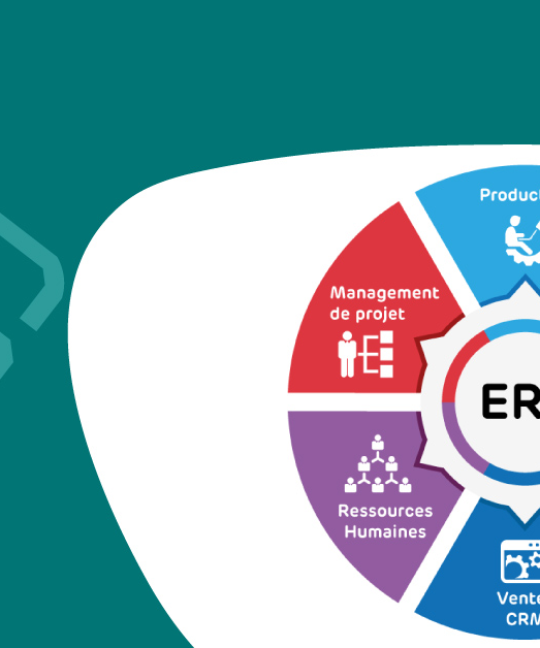 Liste des Editeurs et Intégrateurs ERP/CRM au Cameroun en 2021
