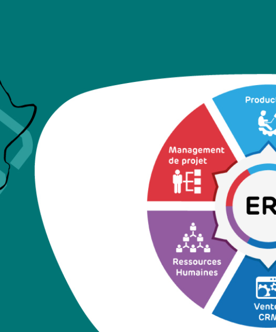 Liste des Editeurs et Intégrateurs ERP/CRM en Afrique en 2021