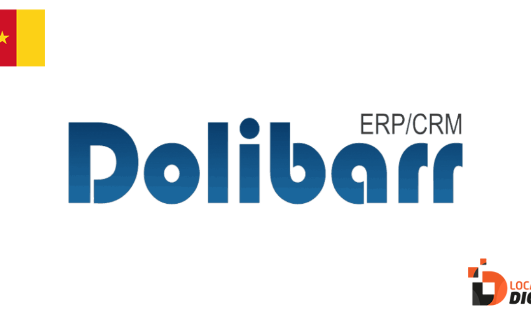 Intégrateur Dolibarr au Cameroun