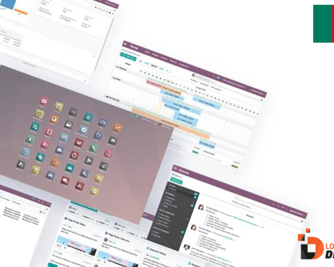 intégrateur odoo cameroun