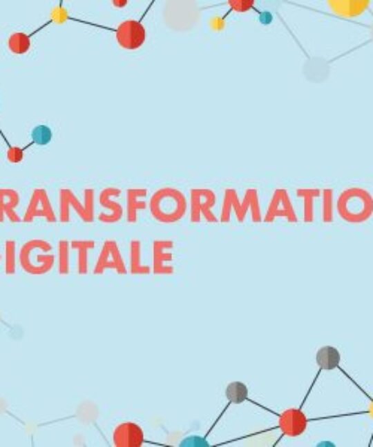 Agence de Transformation Digitale au Cameroun