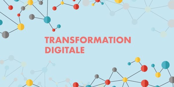 Agence de Transformation Digitale au Cameroun