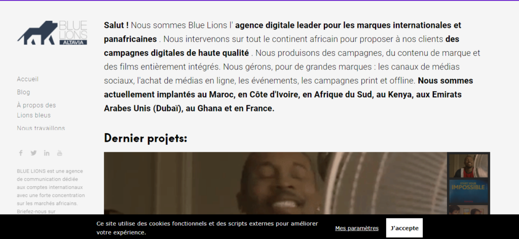 Bienvenue chez Blue Lions, agence de Social Medial au Cameroun