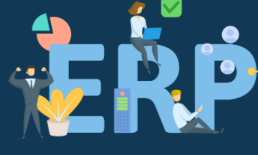 ERP au Congo