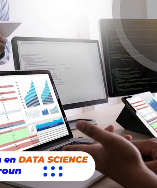 Formation en Data science au Cameroun