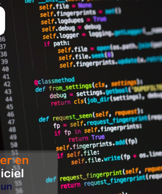 Où se former en génie logiciel au Cameroun