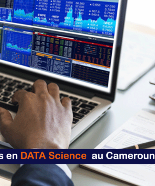 Débouchés d'un ingénieur en intelligence artificielle au Cameroun