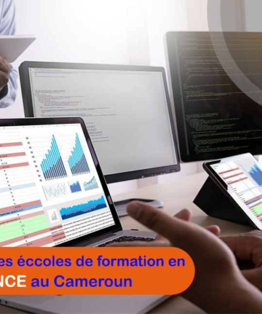 Meilleures écoles de formation en Data science au Cameroun
