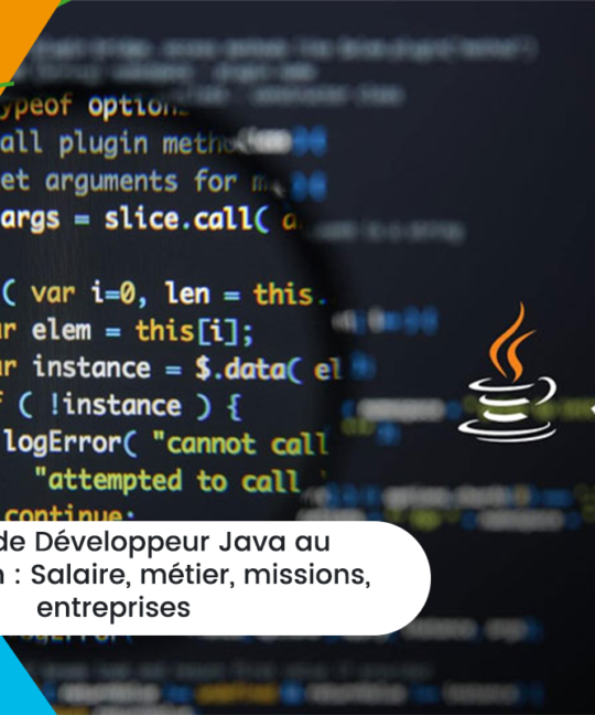 Métier de Développeur Java au Cameroun Salaire, métier, missions, entreprises