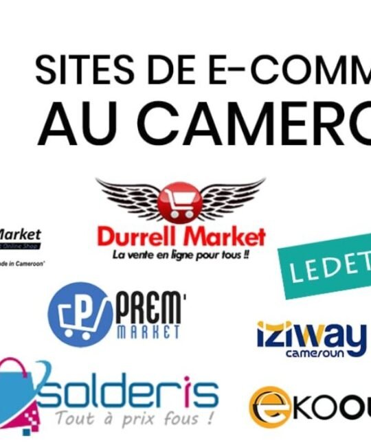 7 website ideas for an online business in Cameroon