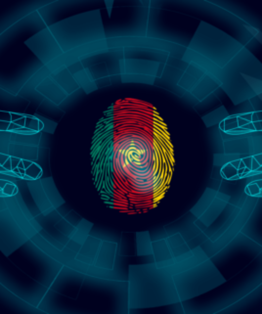 Cameroon Digital Strategic Plan 2020