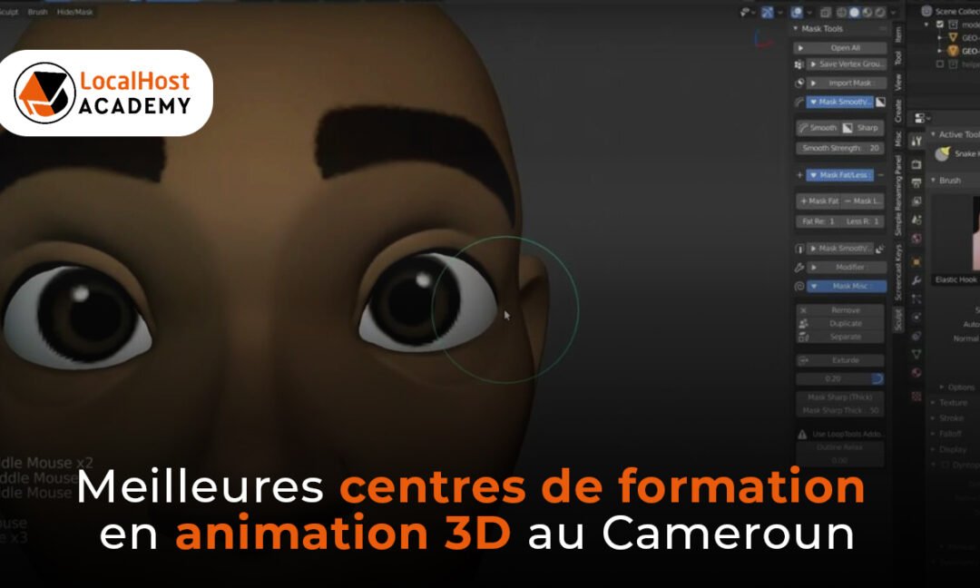 Meilleurs centres de formation en animation 3D au Cameroun