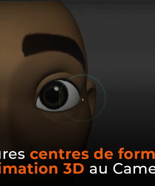 Meilleurs centres de formation en animation 3D au Cameroun