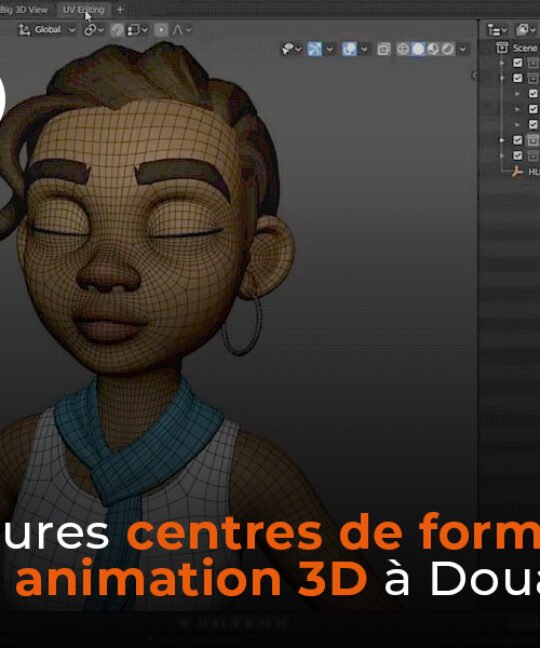 Meilleurs centre de formation en animation 3D à Douala