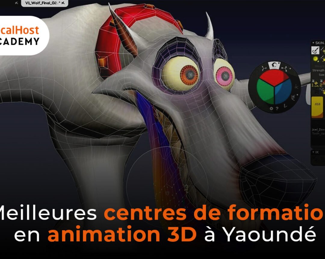 Meilleurs centre de formation en animation 3D à Yaoundé