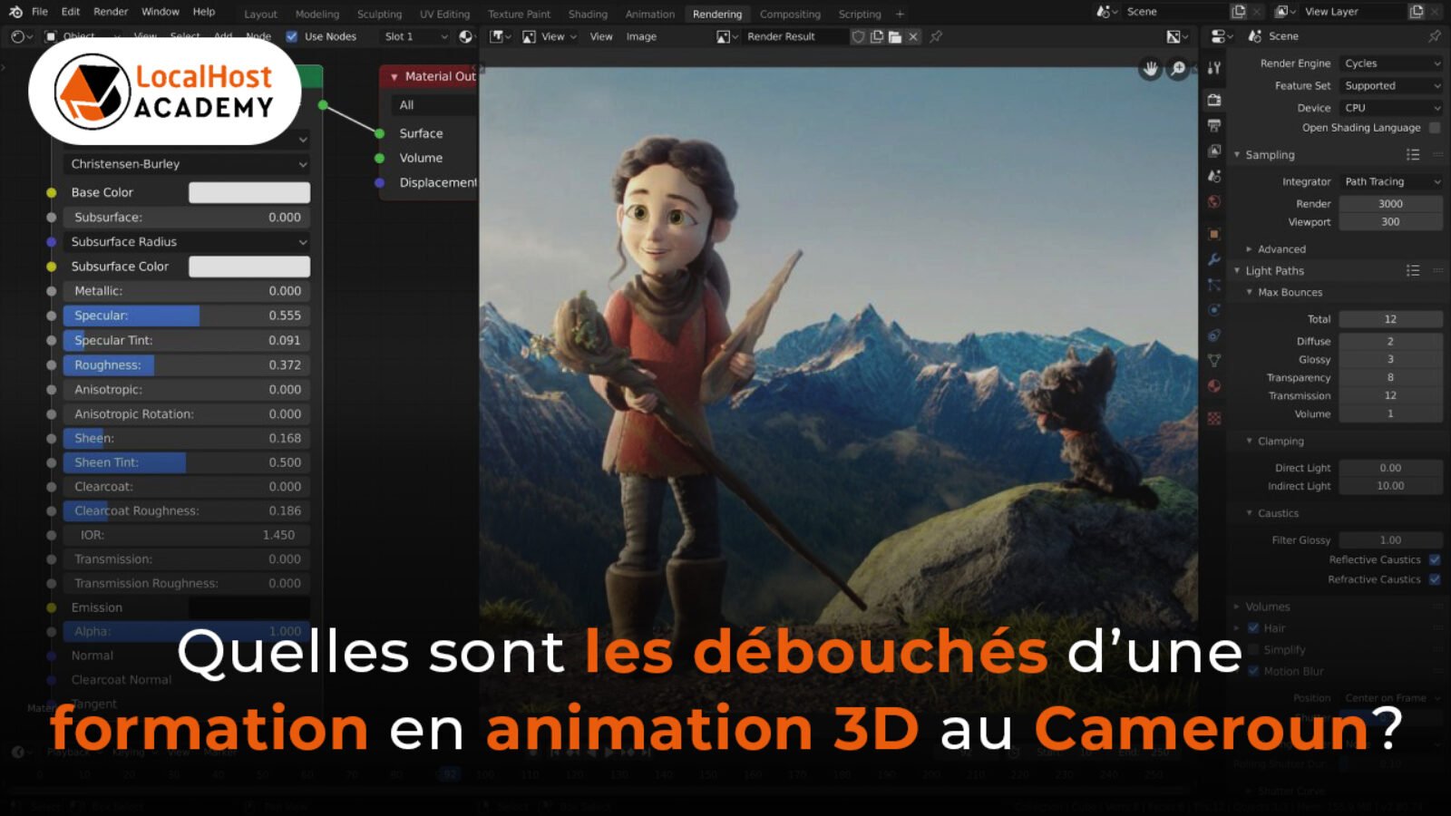 Quels sont les débouchés d’une formation en animation 3D au Cameroun ?