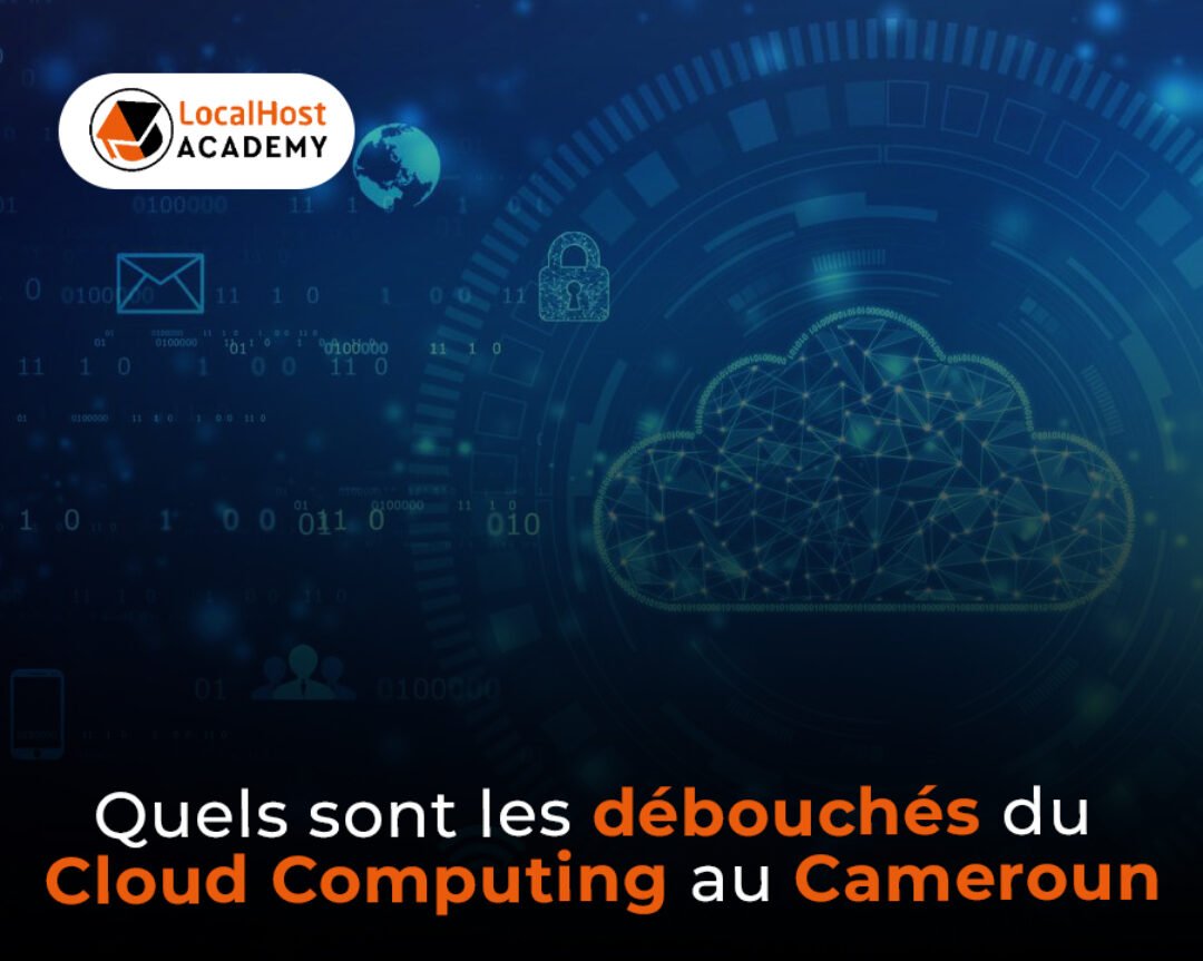 Quels sont les débouchés du Cloud Computing au Cameroun ?