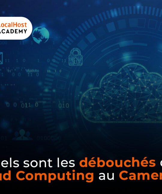 Quels sont les débouchés du Cloud Computing au Cameroun ?