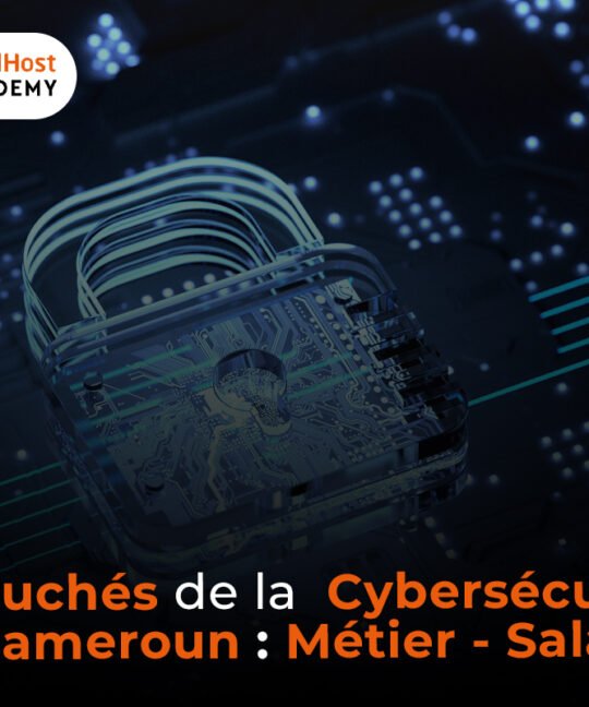 Débouchés de la cybersécurité au Cameroun – Métier, Salaire