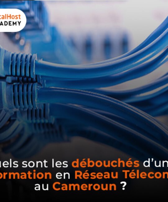 Quels sont les débouchés d’une formation en réseau et télécom au Cameroun ?