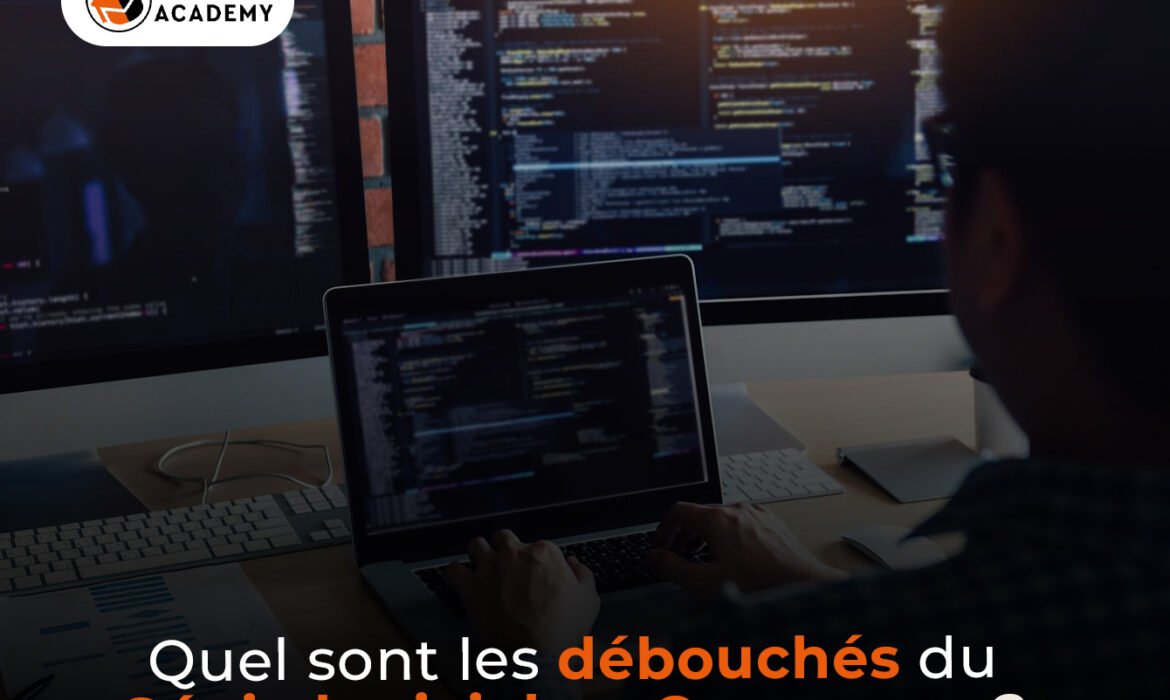 Quels sont les débouchés du génie logiciel au Cameroun ?