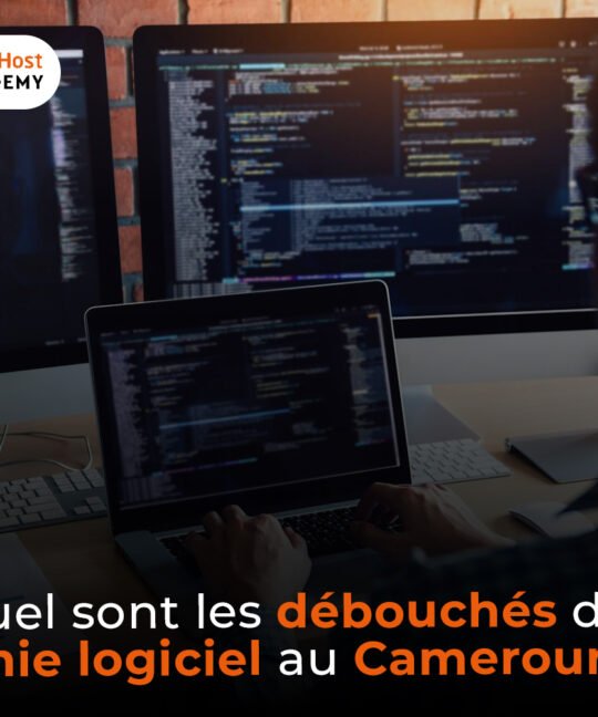 Quels sont les débouchés du génie logiciel au Cameroun ?