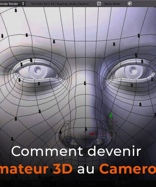 Comment devenir animateur 3D au Cameroun