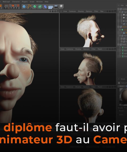 Quel diplôme faut-il avoir pour être animateur 3D au Cameroun ?