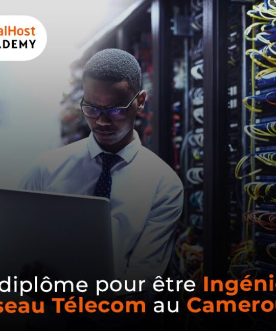 Quel diplôme pour être ingénieur en réseau et télécom au Cameroun