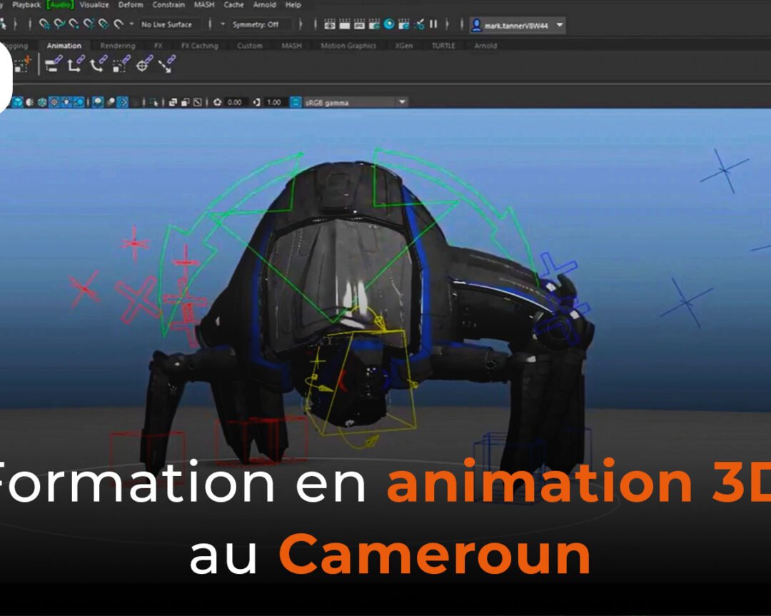 Formation en animation 3D au Cameroun