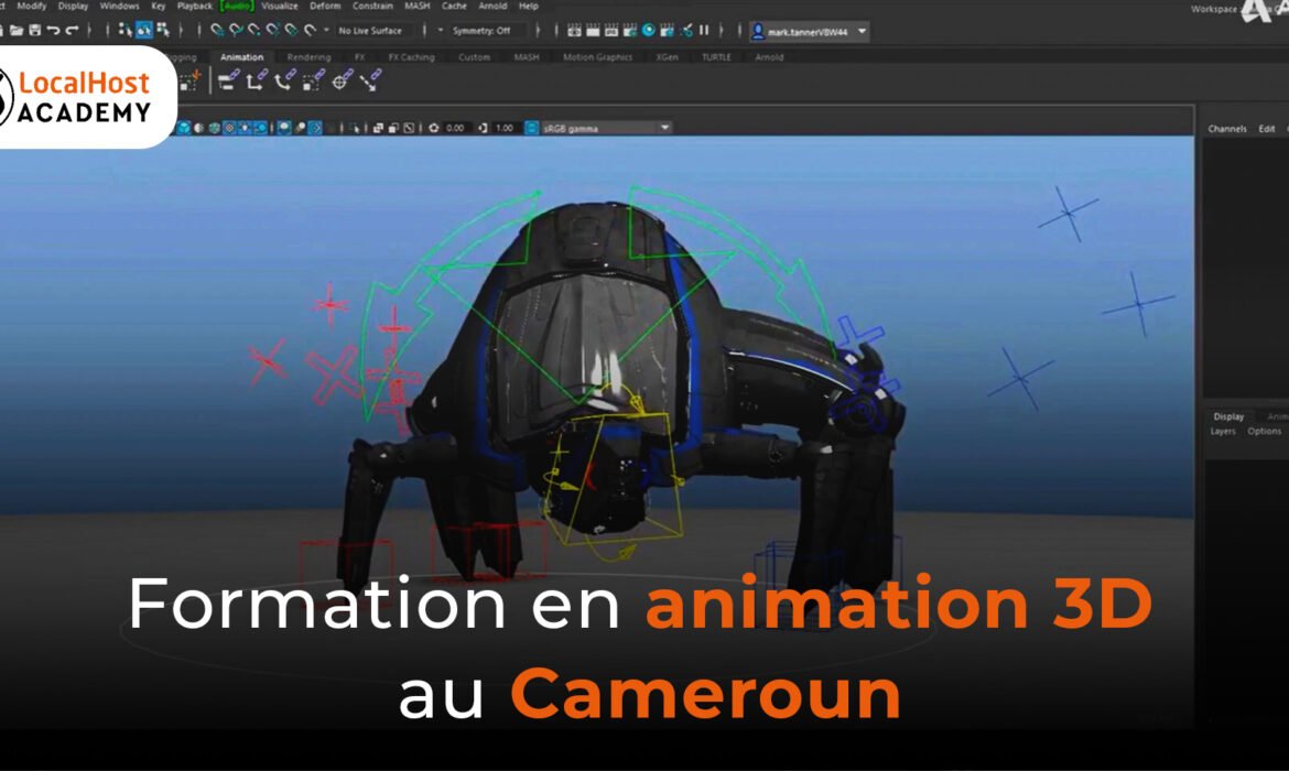 Formation en animation 3D au Cameroun