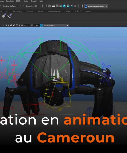 Formation en animation 3D au Cameroun