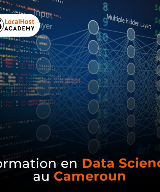 Formation en Data science au Cameroun