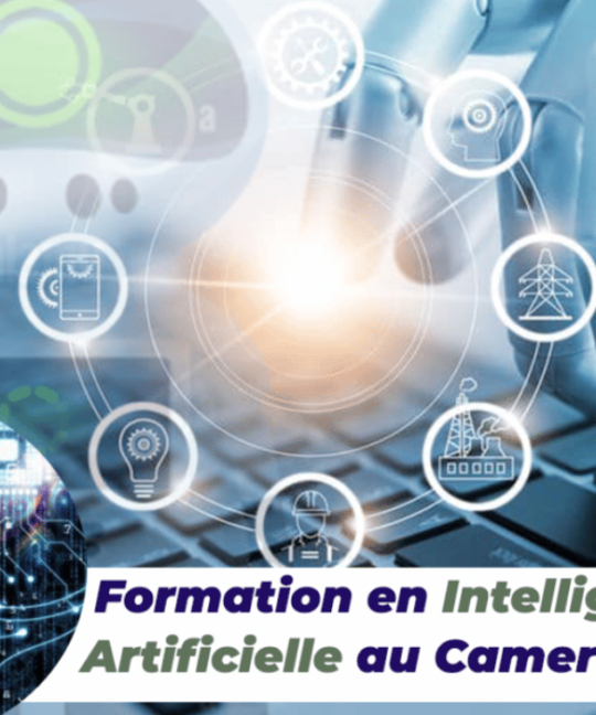 Training in Artificial Intelligence in Cameroon