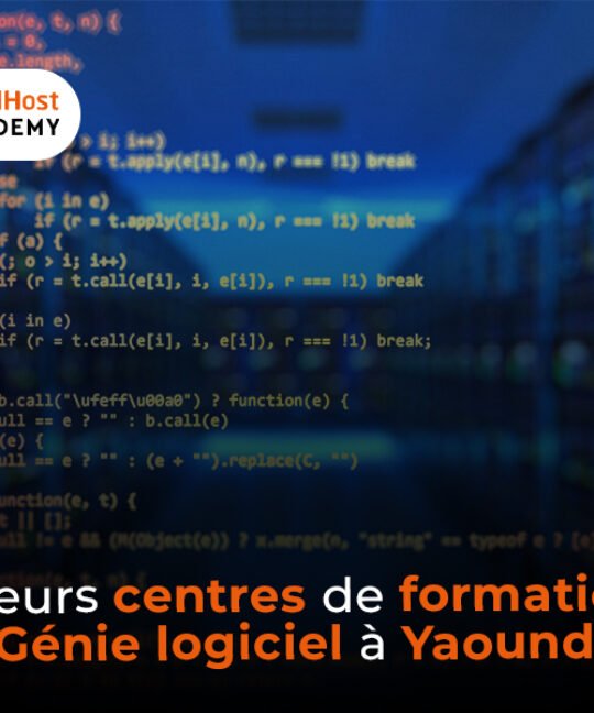 Meilleurs centres de formation en génie logiciel à Yaoundé