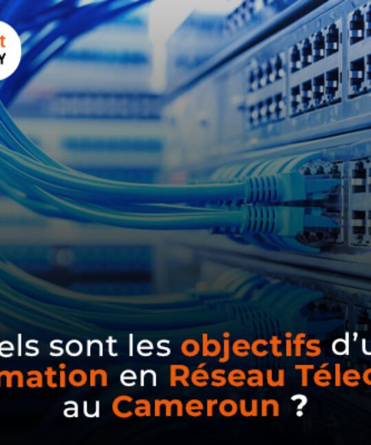 Quels sont les objectifs d’une formation en réseau et télécom au Cameroun ?