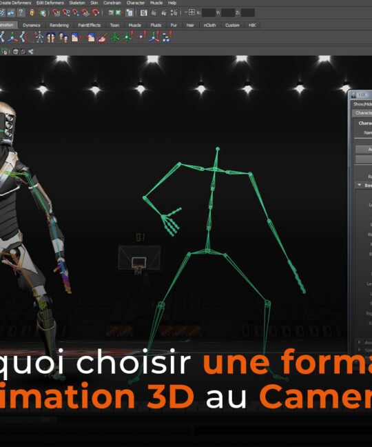 Pourquoi choisir une formation en animation 3D au Cameroun ?