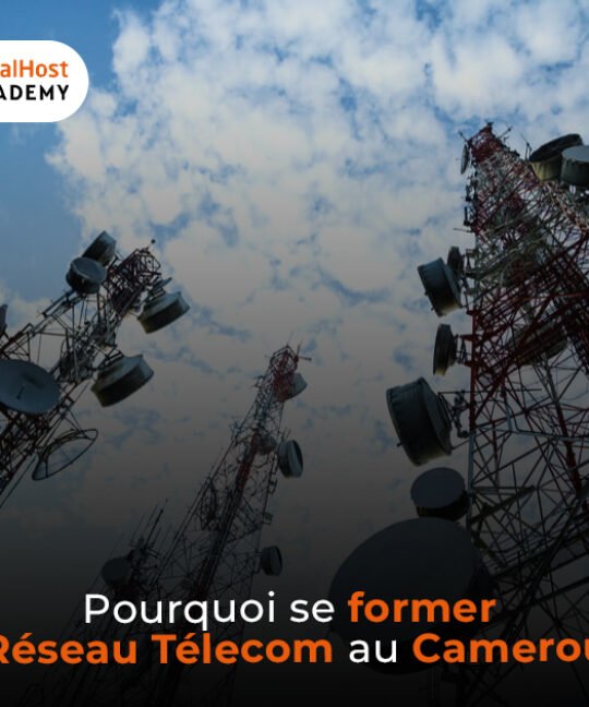 Pourquoi se former en réseau et télécom au Cameroun ?