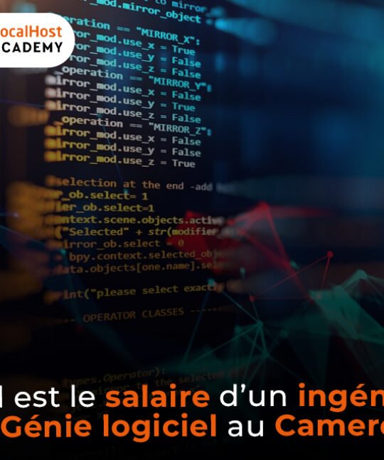 Quel est le salaire d’un ingénieur en génie logiciel au Cameroun ?
